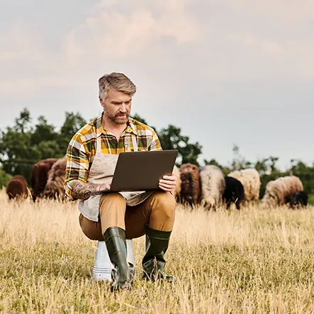 Modern livestock farming - balancing productivity and animal welfare