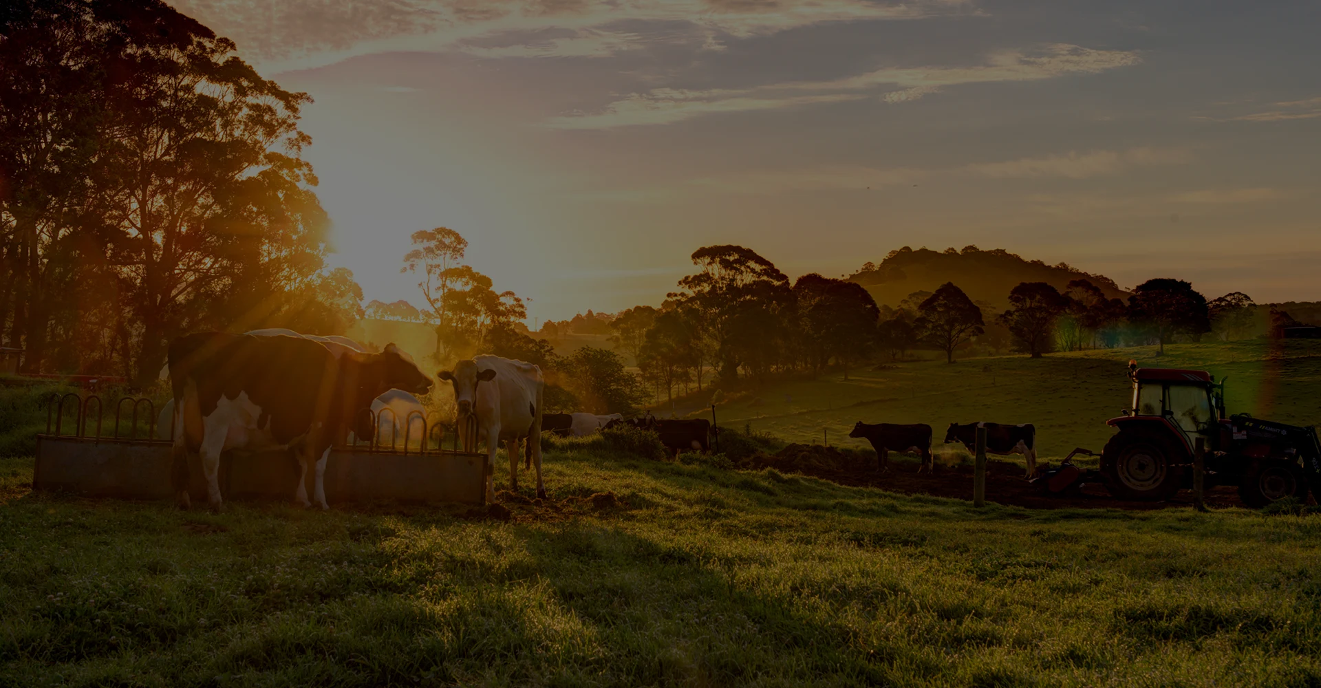 The agricultural world and its dynamics
